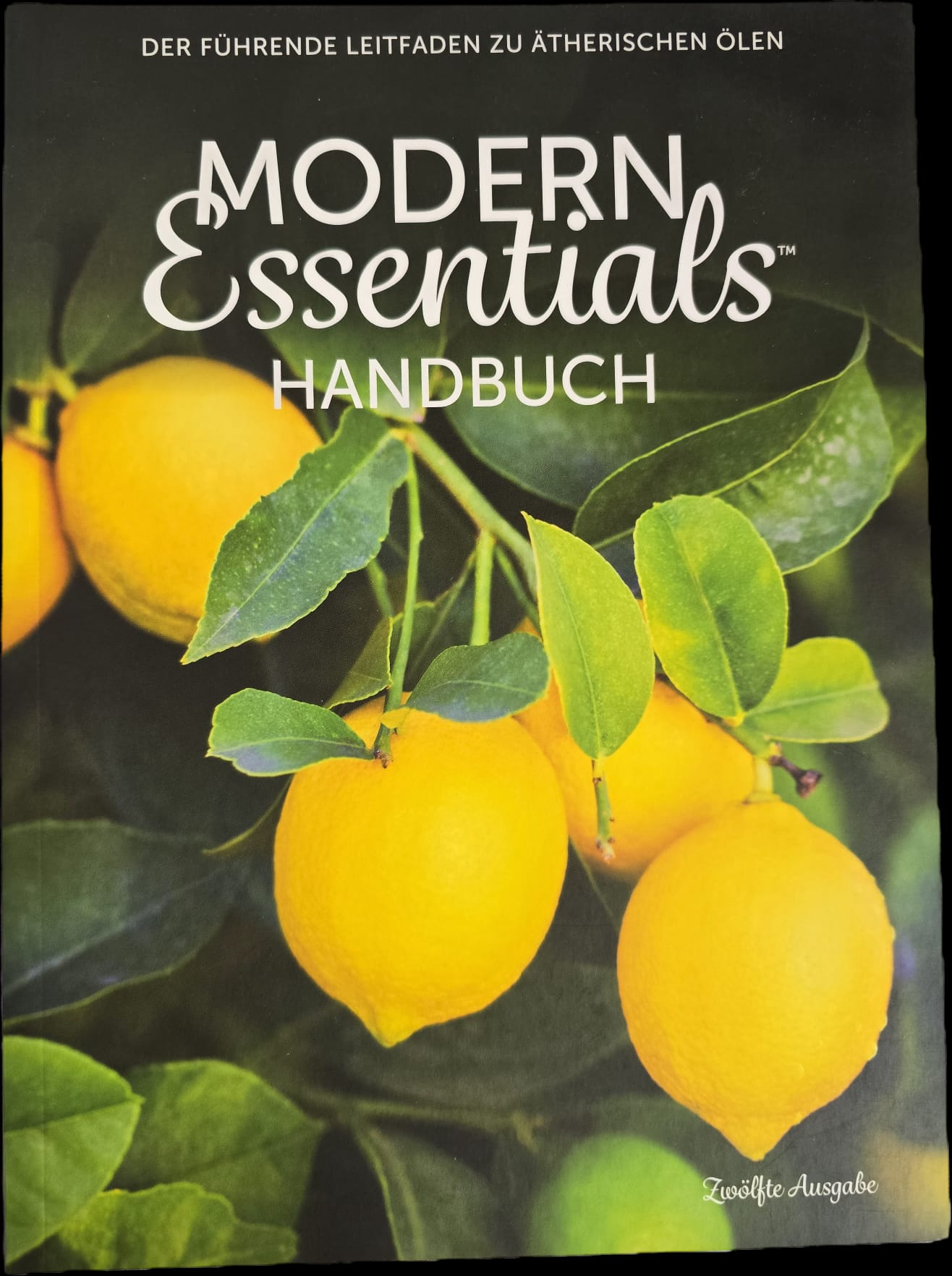 📘 Modern Essentials Handbuch